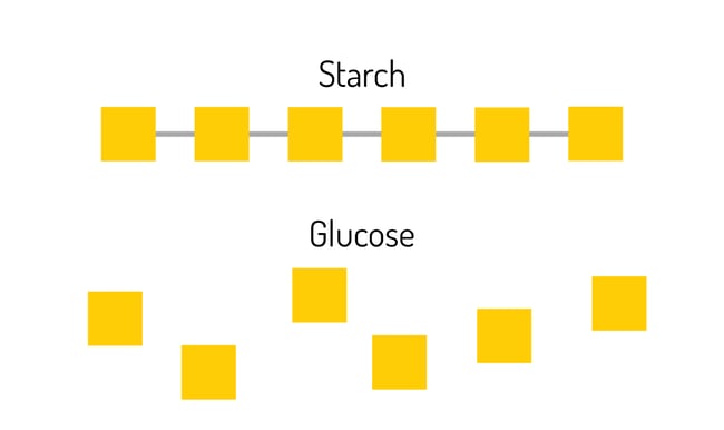 Diet-and-nutrition-blog-starch-glucose