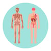 KS3_landing_page_imagery_Knowing_your_body_1_without_title_square