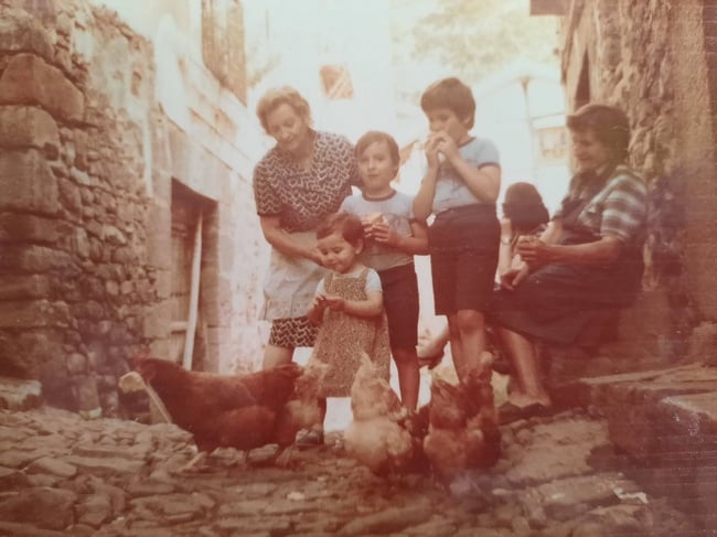 Marta family - chickens