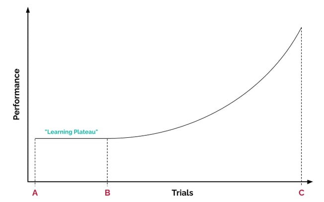 2024-25-image-05-learning-plateau