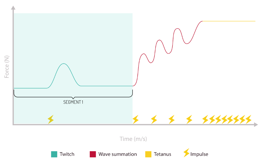 2024-33-image-01-force-vs-time-segment-1
