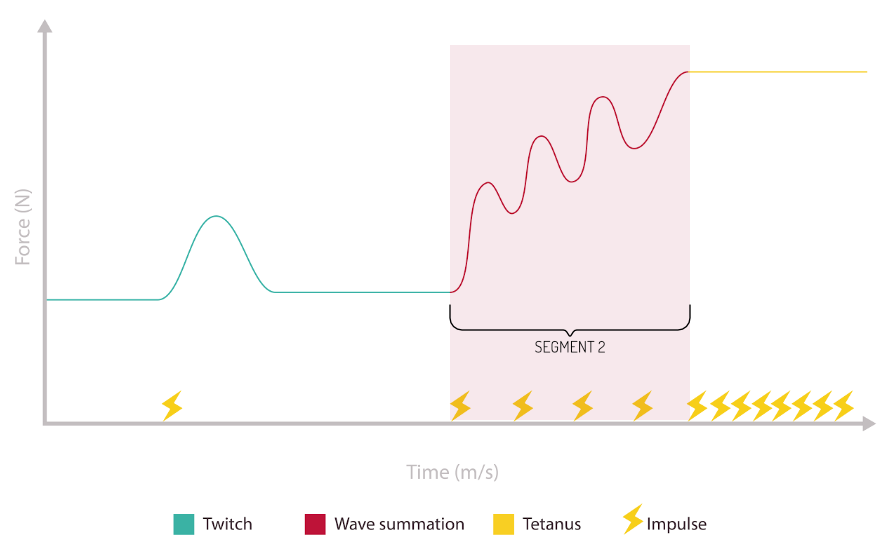 2024-33-image-01-force-vs-time-segment-2