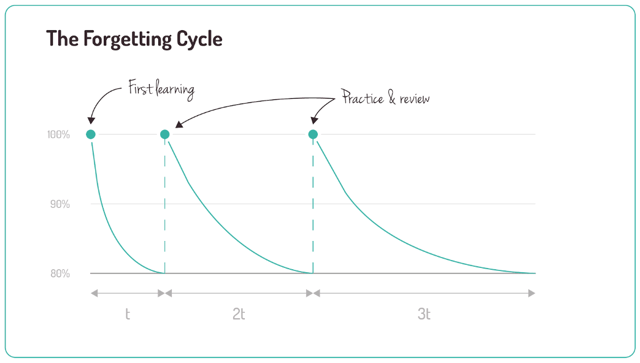 2024-44-image-03-forgetting-cycle