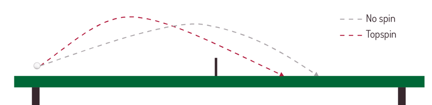 2024-60-image-11-ball-no-spin-top-spin