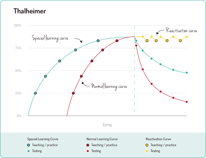 2025-04-image-06-thalheimer