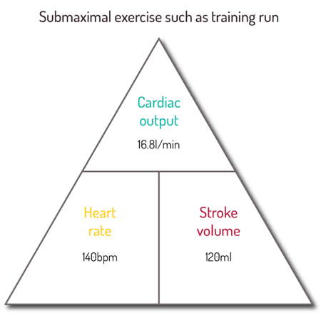 2025-08-image-04-submaximal
