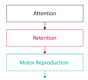 Teaching the learning theories in PE and Sport lessons