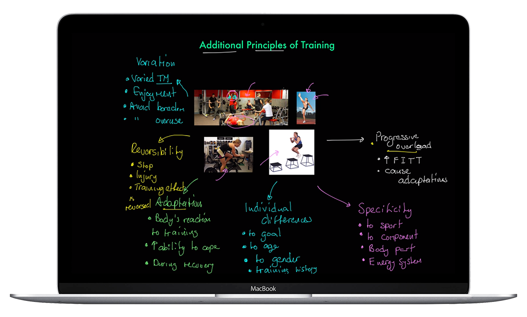 The EverLearner - tutorial video lessons screenshot