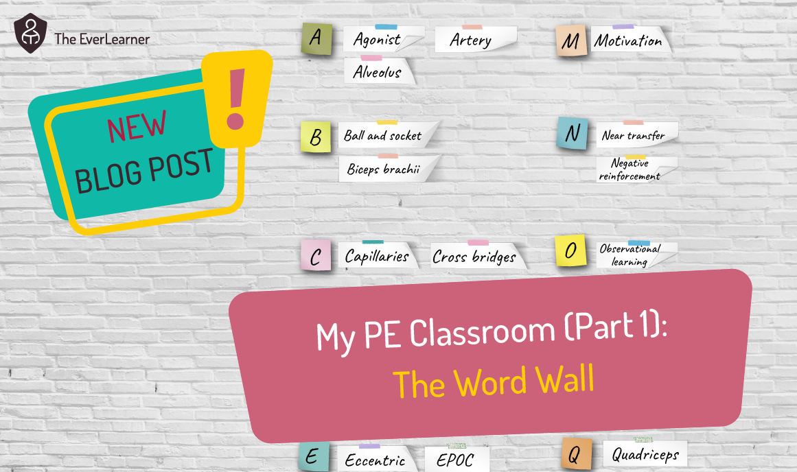 My PE Classroom (Part 1): The World Wall Blog Feature Image