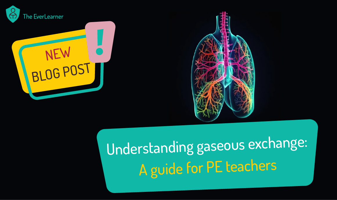 Understanding Gaseous Exchange: A Guide for Teachers Blog Feature Image