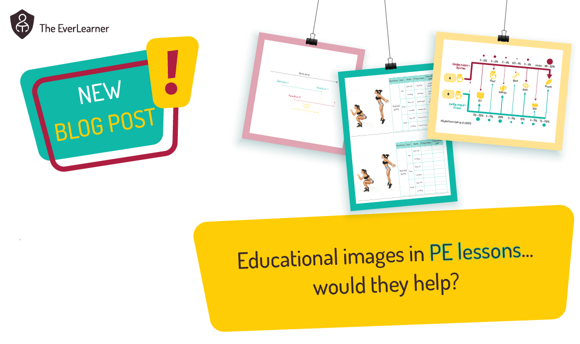 feature image for blog post offering free educational images for pe lessons