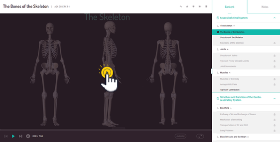 skeleton-video-aqa-gcse